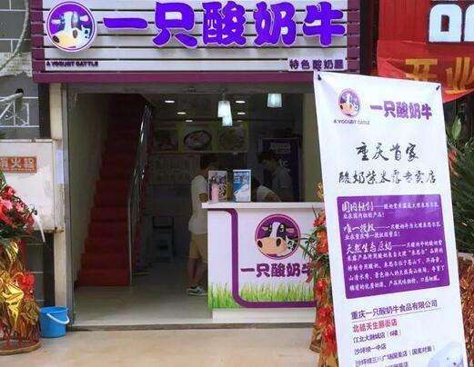 一只酸奶牛加盟只需5万元就可开店是真的图