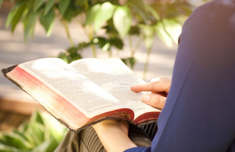 #全腦教育##卓爾腦##全腦潛能開發(fā)##右腦開發(fā)#父母一定要