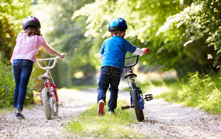 #全腦教育##卓爾腦##全腦潛能開發(fā)##右腦開發(fā)#父母一定要