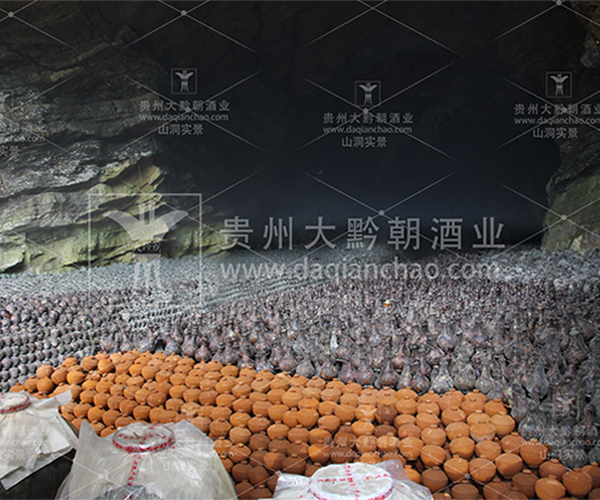 能夠讓你賺錢的項目-洞藏老壇酒（圖）_3