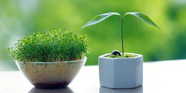 烤盤選購(gòu)指南（圖）_1