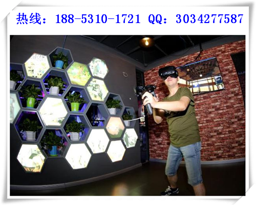 投資第八感VR主題樂園加盟費是多少錢（圖）_2