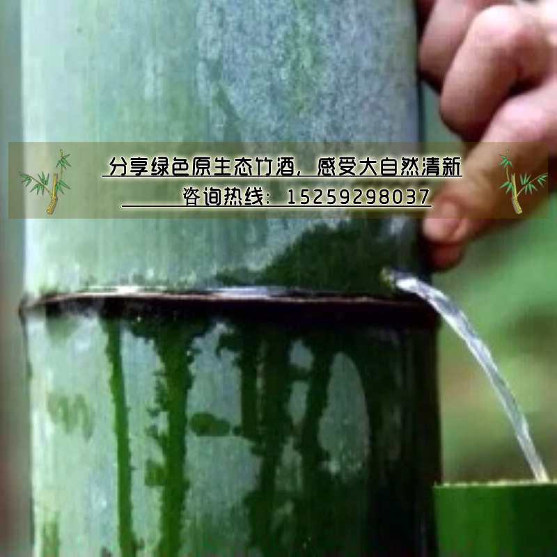 加盟電話_2017年洛陽(yáng)竹筒酒最新_加盟_廠家地址中秋國(guó)慶元旦春節(jié)禮品定制河南竹筒酒_1