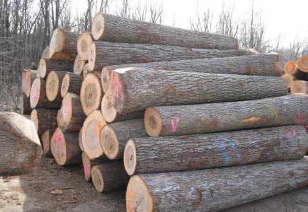 中國板材品牌精材藝匠：一塊高品質(zhì)木板材的傳說?。▓D）_1