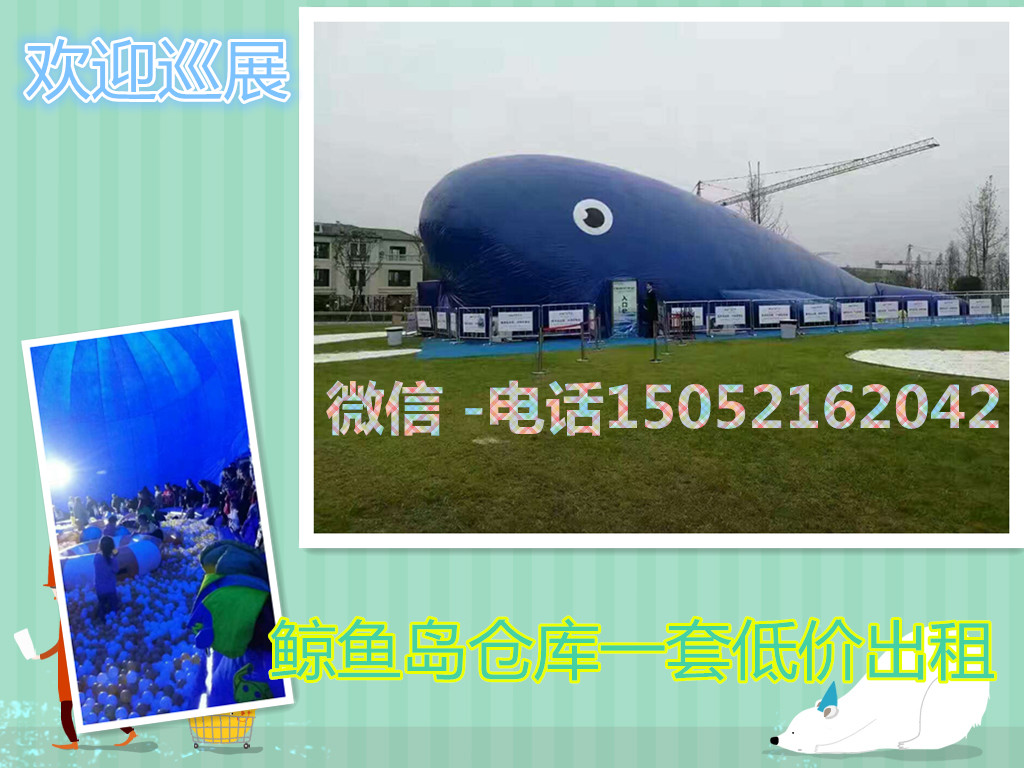 鯨魚島資源租賃一套鯨魚島出租需要多少錢價格_1