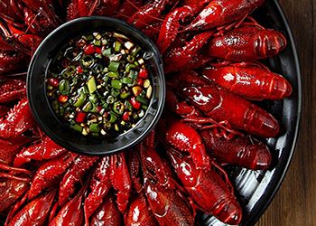 加盟掌鴨武爪市場前景好不好？實力怎么樣？（圖）_2