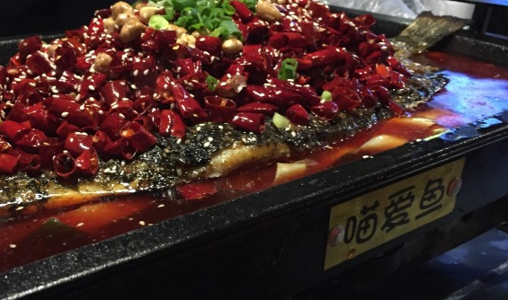 喵愛魚江湖菜加盟費(fèi)用_2