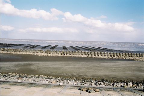 聚能教育入駐江蘇鹽城（圖）_1