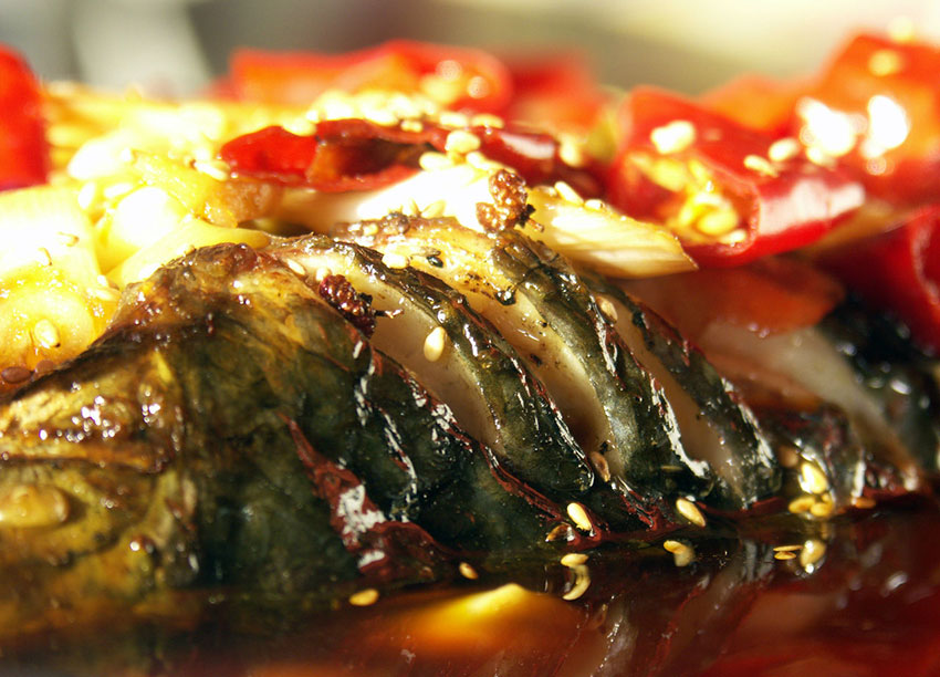 我想開家渝香鮮萬州烤魚加盟費多少錢_1