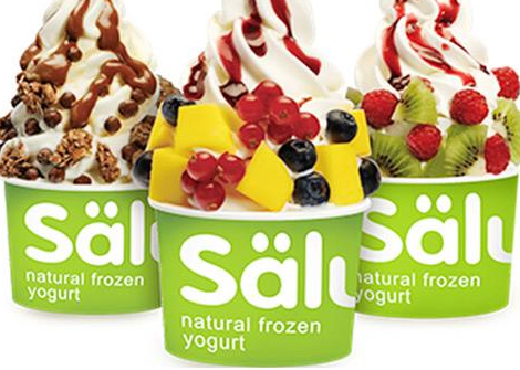 開一家salud撒露凍酸奶加盟費(fèi)用_1