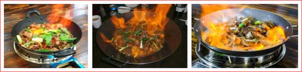 湖南哪里有火焰醉鵝培訓(xùn)（圖）_1