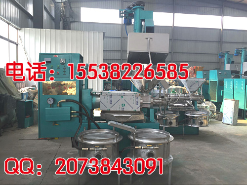 冷榨油機(jī)哪個牌子好（圖）_1