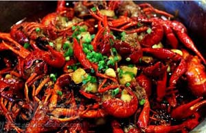 哪里有特色口味蝦培訓（圖）_1