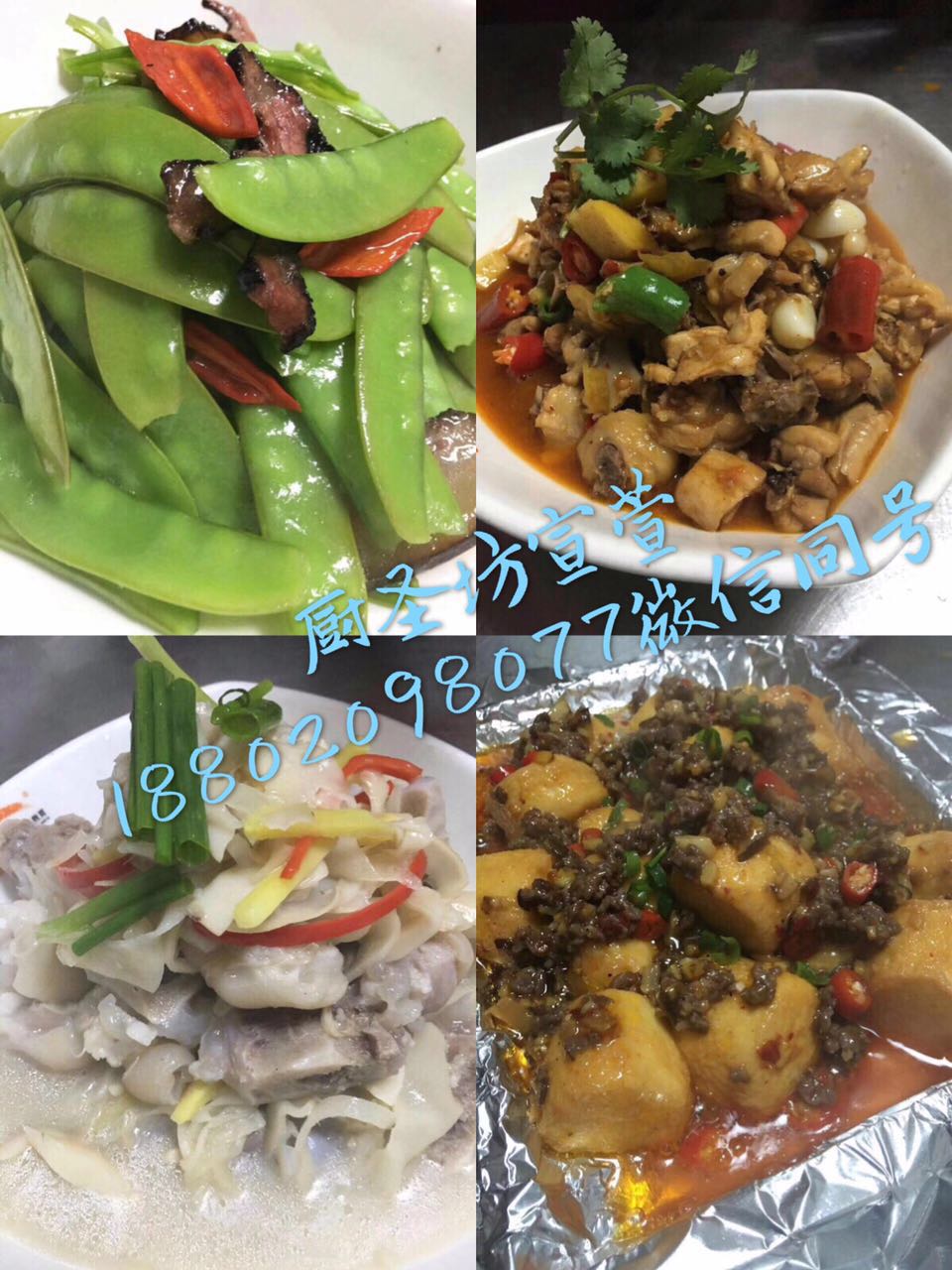 哪里能學到湖南培訓，湘菜培訓（圖）_1