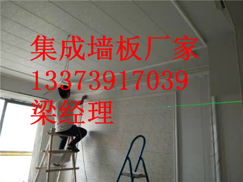 河南集成墻面領(lǐng)導(dǎo)廠家（圖）_1