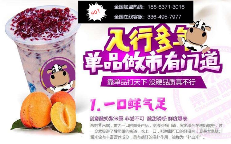 一只酸奶牛加盟費及要求_1