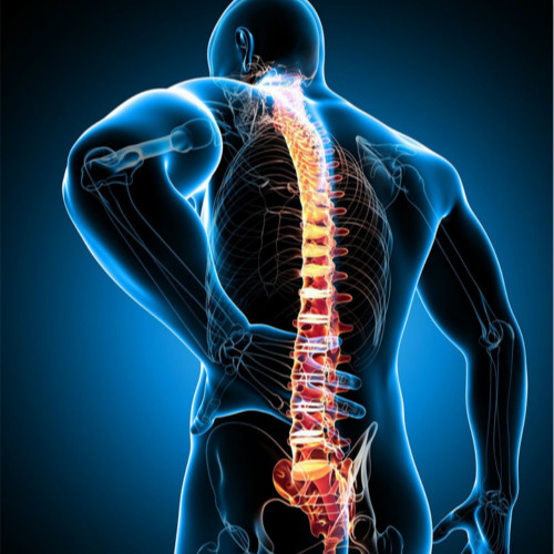 得了腰椎間盤突出很多年了，終于選對了改善好方法（圖）_2