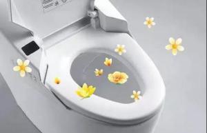 小米都出智能馬桶了，智能兒童馬桶還會遠嗎？_6