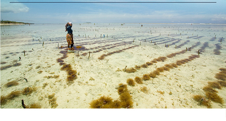 美容院套盒代加工補(bǔ)水套盒ODM貼牌眼部套盒定制_7