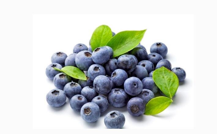 蓝莓复合果汁代工生产（图）_1