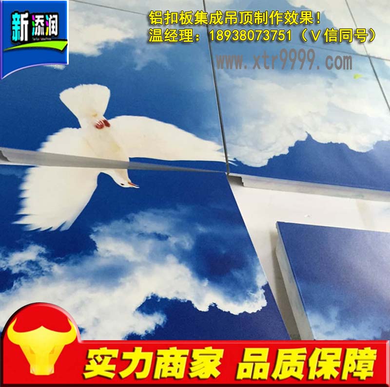 陜西3D天花吊頂打印機價格_1