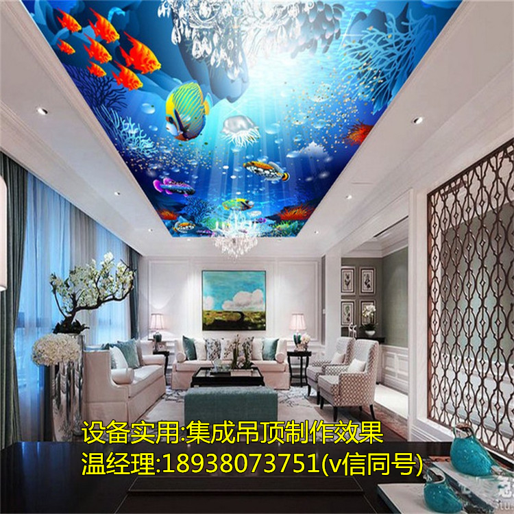 陜西3D天花吊頂打印機價格_14