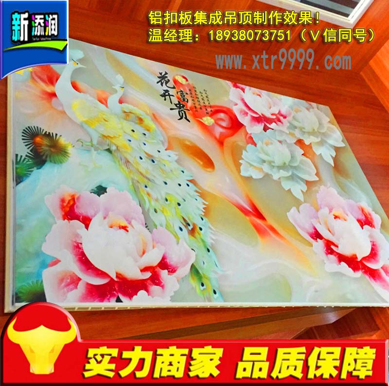 打印天花吊頂?shù)臋C器哪里有（圖）_1