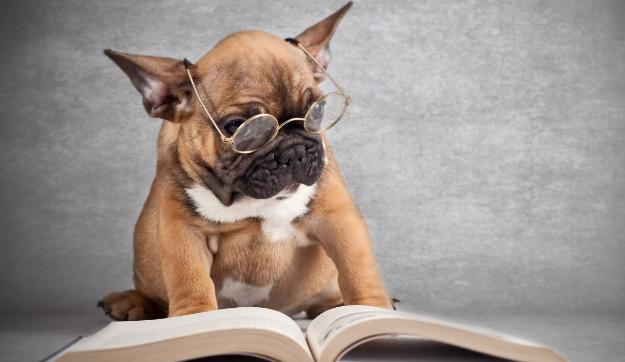 家長問：看書寫作業(yè)的時候要不要戴眼鏡？（圖）_2