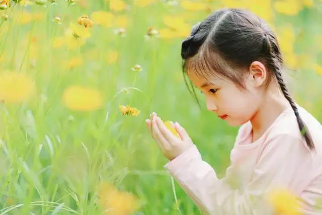 全腦教育:大腦靈魂深處的閃光點(圖)_1