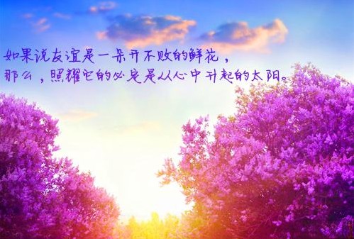 口碑相傳，改善腰椎疾病就選喬氏黑玉膏帖（圖）_5