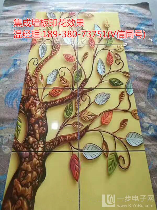 集成墻板打印機(jī)設(shè)備加盟_11