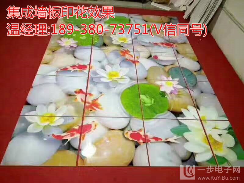 集成墻板打印機(jī)設(shè)備加盟_13