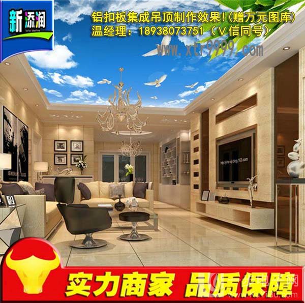 國內(nèi)最早uv平板打印機廠家（圖）_6