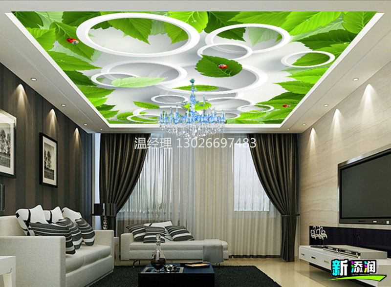 理光G5UV打印機(jī)多少錢（圖）_24