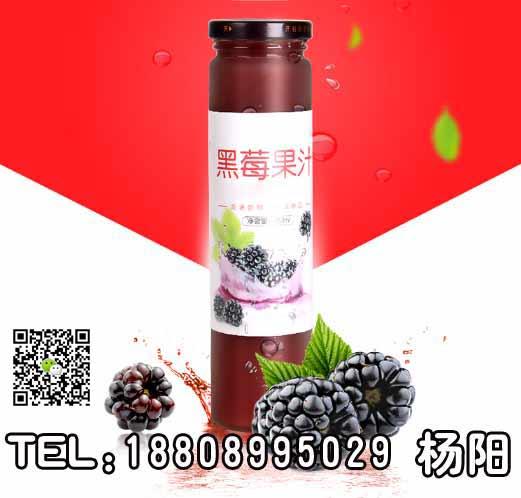 黑莓复合果汁饮品OEM贴牌企业（图）_1