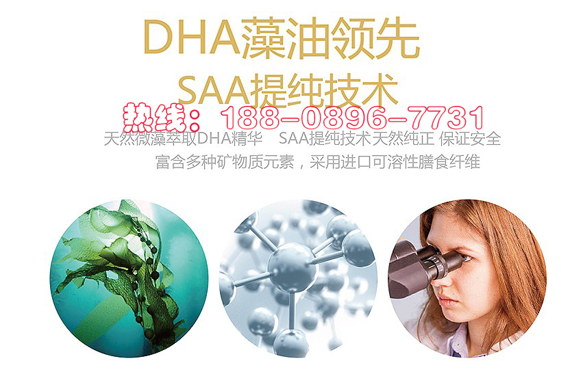 DHA藻油粉贴牌代加工OEM基地全新配方_2