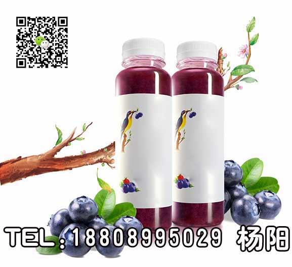 藍莓復合果汁代工生產(chǎn)企業(yè)（圖）_1