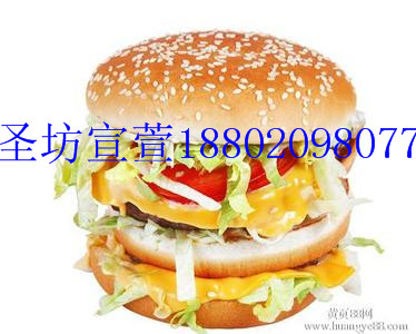 哪里有學(xué)炸雞漢堡全套技術(shù)培訓(xùn)（圖）_3