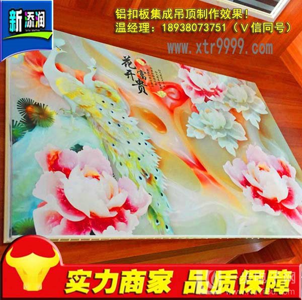 淮安竹木纖維集成墻飾打印機哪里有（圖）_11