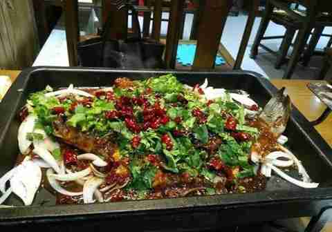 星球爐魚加盟加盟費多少錢（圖）_1