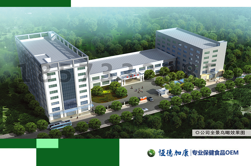 小球藻凝膠糖果代加工、裸藻凝膠糖果ODM貼牌代工廠家（圖）_2