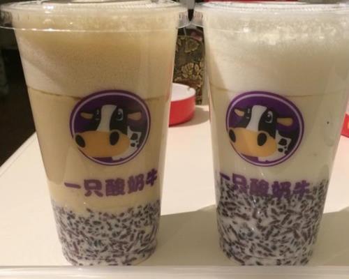 一只酸奶牛加盟電話美味酸奶輕松創(chuàng)業(yè)（圖）_2