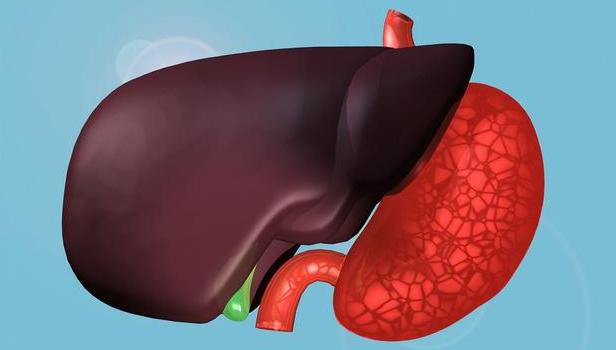 看看你有嗎？肝不好的表現(xiàn)有哪些？（圖）_1