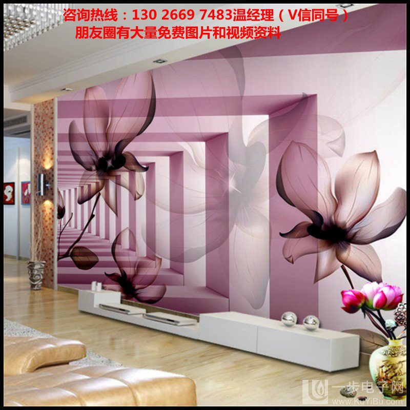 3D玻璃背景墻彩印機(jī)圖片_24