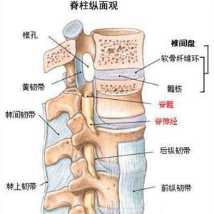 腰椎间盘突出做好这一点就可以彻底康复_2