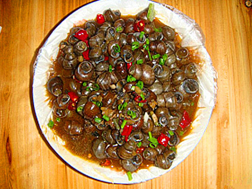 哪里有學炒田螺培訓（圖）_1