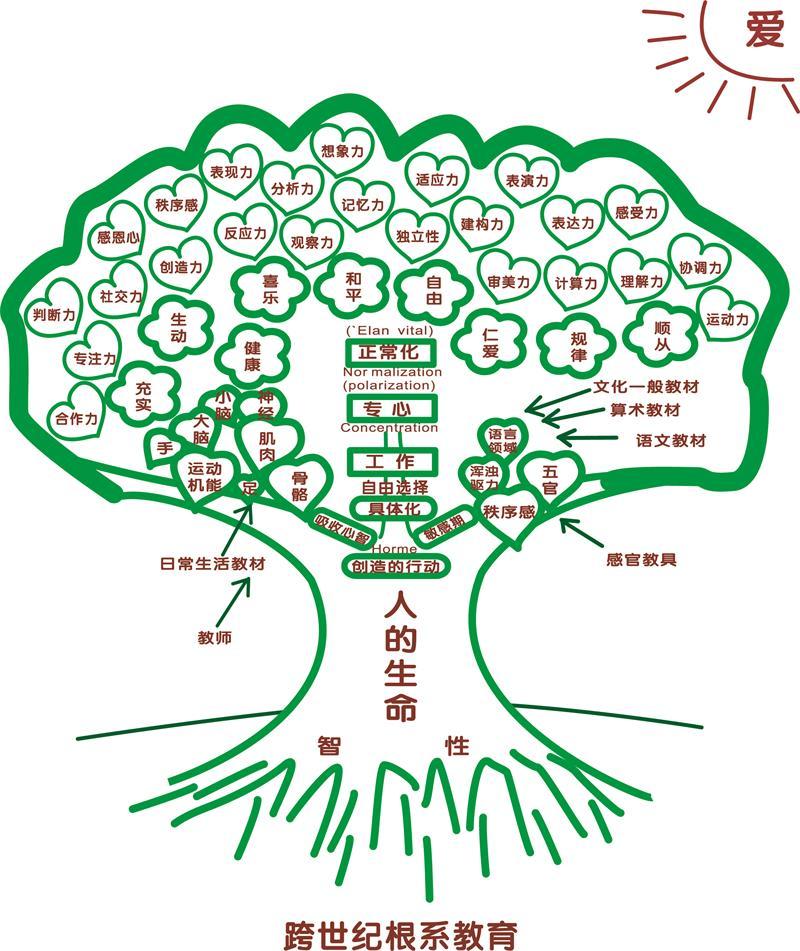 第一次創(chuàng)辦幼兒園，一定要選擇加盟品牌支撐嗎？（圖）_3