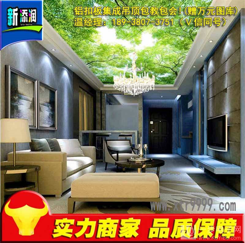 如何選購鋁扣板集成吊頂彩印機(jī)_5