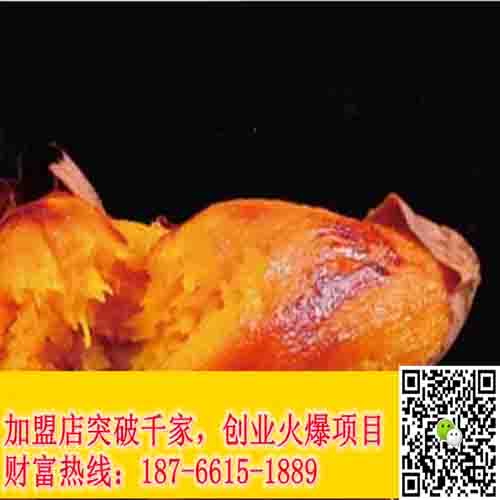 煙薯無皮烤紅薯加盟_1