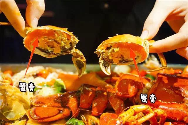 河北香辣小螃蟹,小胖大嘴肉蟹煲口感香糯（图）_1